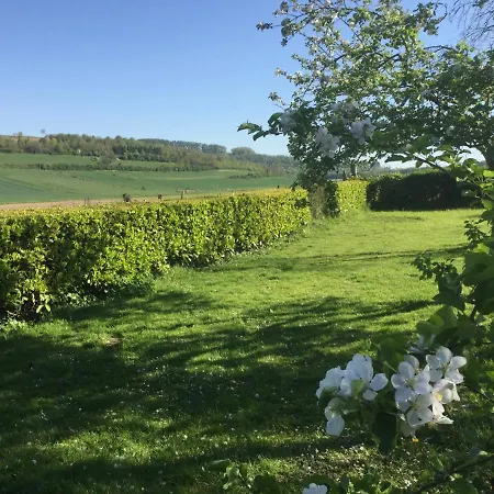 Les Amis De L Authie